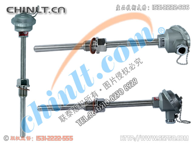 WRN2-230/WRN2-220 装配式双支热电偶 
